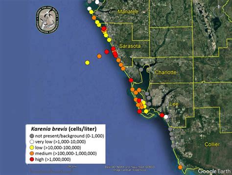 In each of these locales, a different microorganism—present at low levels normally—generates the algal bloom when conditions align. . Noaa red tide map